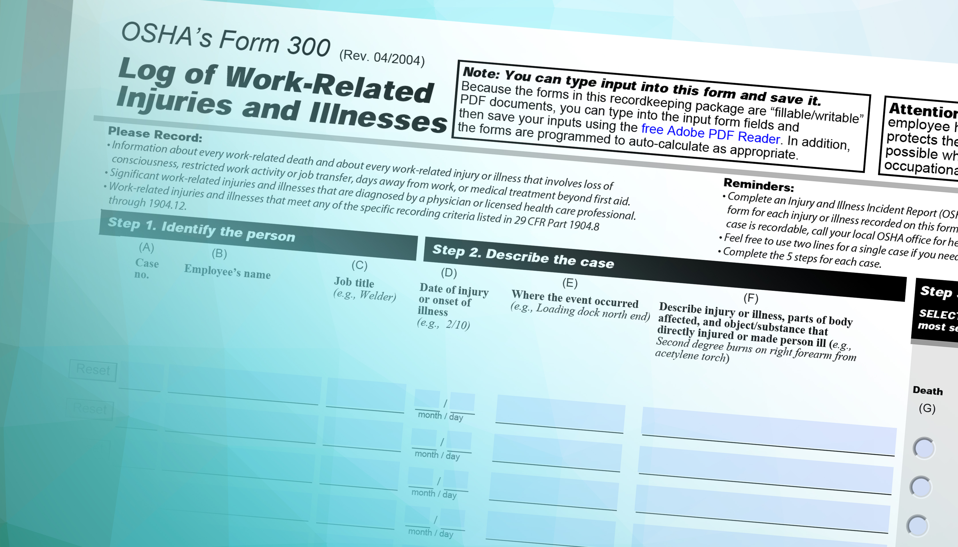 OHS Form 300 image