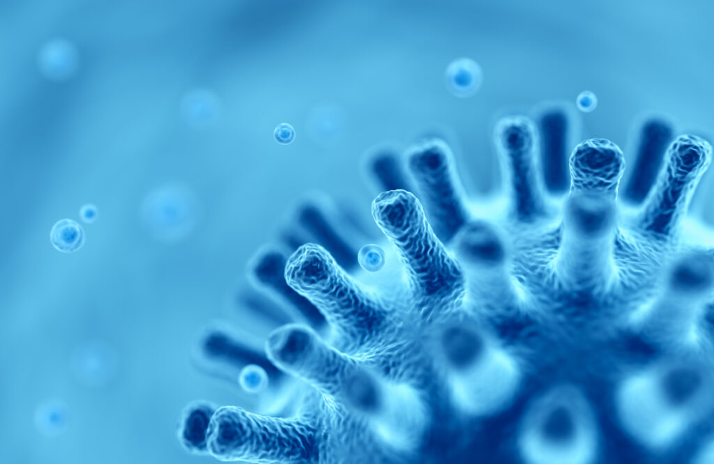 microscopic image of the covid 19 virus