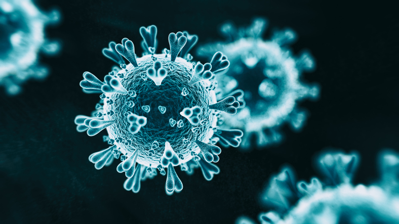 microscopic caronavirus image